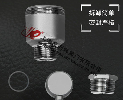 AVAX不锈钢自动排气阀可拆卸设计细节说明